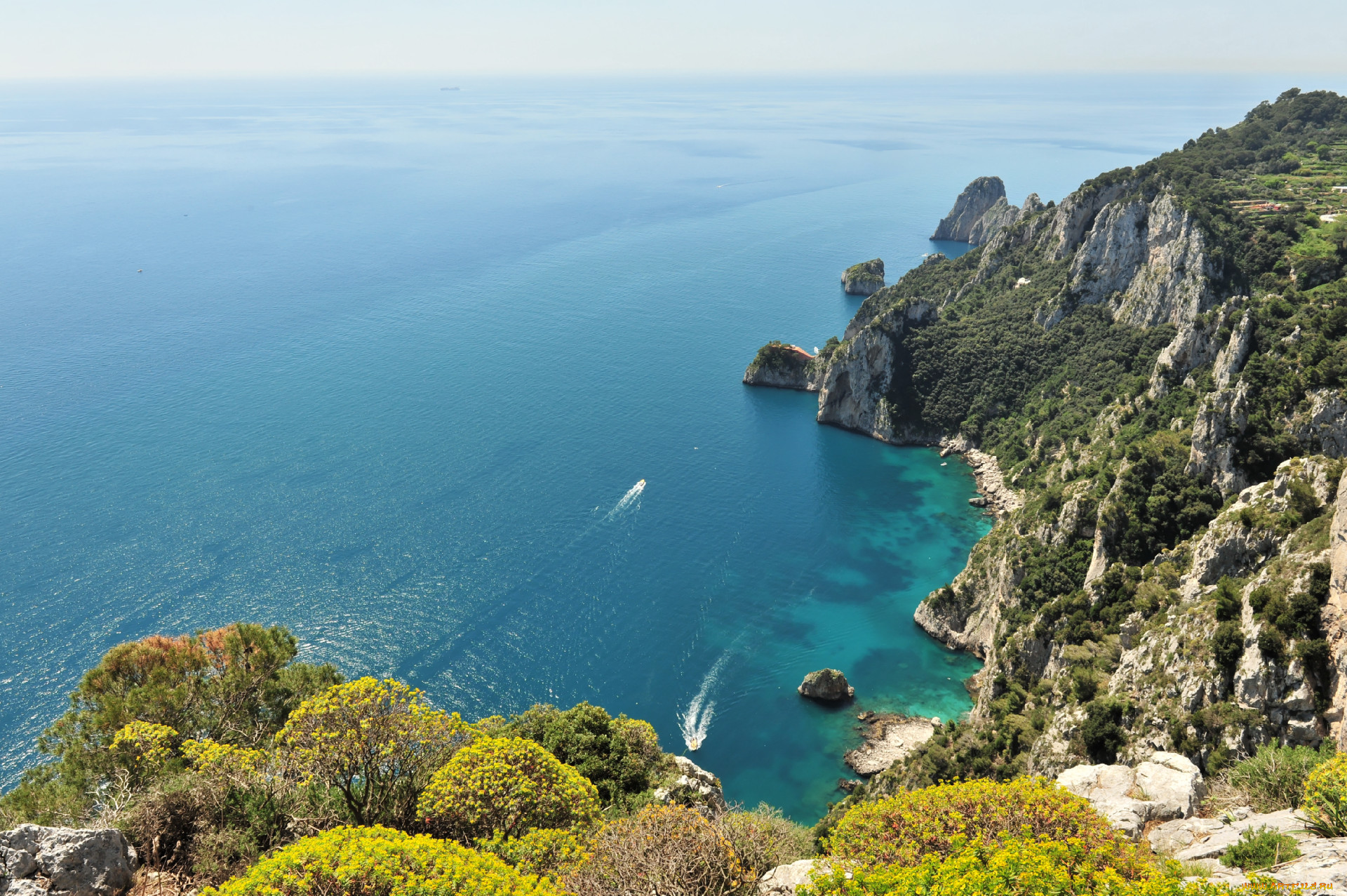 dall`alto, capri, , , , , , , , 